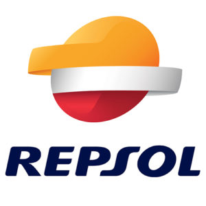 REPARA PINCHAZOS REPSOL - 300 ML